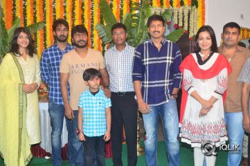 Paper Boy Movie Opening